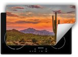 Darhaus Piastra Di Copertura Per Stufa 90X52 Cm Tappetino Antiscivolo Roll-Up, Cactus
