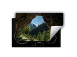 Darhaus Piastra Di Copertura Per Stufe 90X52 Cm Tappetino Antiscivolo Roll-Up, Foresta