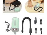 Asciugacapelli Per Animali Domestici Da 2200 W, Temperatura Regolabile, Opzioni Di Selezione Degli Ugelli Multipli, Verde