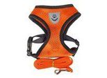 Reflex Collari Per Cani Con Guinzaglio Xl - Arancione