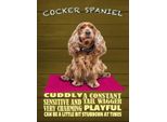 Vianmo Insegna In Legno 40X30 Cm Cocker Spaniel Hund Cuddly