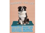 Vianmo Insegna In Legno 40X30 Cm Border Collie Hund Intelligent