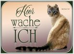 Vianmo Insegna In Legno 30X40 Cm Katze American Curl Hier Wache Ich