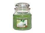 Candela Profumata Yankee Candle Vanilla Lime 411G