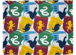 Harry Potter - Coperta, Pile, Adesivo AG508 (Taglia Unica) (Colorato)