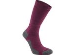 Craghoppers - Calze "Trek"" Per Uomo/Donna Unisex CG1883 (39,5 Eu - 42 Eu) (Berry)"