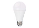 Lampadina Led Ecolight - E27 - 10W - 900Lm - Bianco Caldo