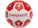 Liverpool Fc - Esagono Da Calcio TA9609 (3) (Rosso/Bianco)