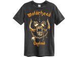 Amplified - Maglietta "Bronze England"" Per Uomo/Donna Unisex GD278 (Xs) (Antracite)"