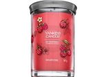 Bicchiere Yankee Candle Red Raspberry 567 G