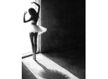 Pyramid International - Stampa Su Tela "Shadow Dance"" PM6312 (50 Cm X 40 Cm) (Nero/Bianco)"