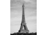 Pyramid International - Stampato, Torre Eiffel PM6361 (40 Cm X 50 Cm) (Grigio/Nero)