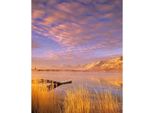 Dennis Frates - Stampa Su Tela Con Cornice "Ana Reservoir"" PM6099 (40 Cm X 30 Cm) (Blu/Giallo)"