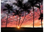 Dennis Frates - Stampa Su Tela Con Cornice "Hawaiian Sunset"" PM6040 (30 Cm X 40 Cm) (Rosa/Nero)"