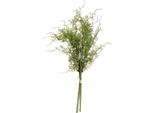 Hill Interiors - Pianta Artificiale, Felce Asparago HI3910 (Taglia Unica) (Verde)