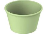 Piccola Ma Pratica: Tazza "Togo"" Da 0,1 Litri Nei Colori Nero, Marrone, Blu, Verde E Rosso - Per Gustare Il Caffè In Movimento Con Stile E Varietà. Perfetta Per Una Rapida Carica Di Energia! Verde Socievole"