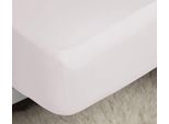 Lenzuolo Aderente In Percalle Belledorm, Easy-Care BM171 (Letto Singolo) (Fucsia)