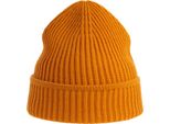 Atlantis - Cappello "Maple"" Per Uomo/Donna Unisex AB558 (Taglia Unica) (Senape)"