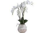 Hill Interiors - Fiore Artificiale HI3455 (70 Cm X 46 Cm X 46 Cm) (Bianco)