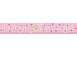 Amscan - Design Olografico - Bandiera "It's A Girl"" SG24201 (Taglia Unica) (Rosa/Bianco/Verde)"