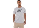 Fast & Furious - T-Shirt Da Uomo TV2460 (L) (Grigio Screziato)