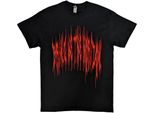 Bring Me The Horizon - Maglietta "Amen"" Con Stampa Posteriore Per Uomo/Donna Unisex RO8097 (L) (Nero)"