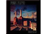 Pink Floyd - Magnete Da Frigo, Animali RO8688 (Taglia Unica) (Colorato)