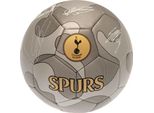 Tottenham Hotspur Fc - Calcio Mimetico TA11100 (5) (Argento/Grigio)