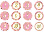Creative Party - Glitter - Adesivi "Decor Milestone Monthly"" Confezione Da 12 Pezzi - Carta SG27080 (Taglia Unica) (Rosa/Oro/Bianco)"