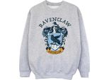 Harry Potter - Felpa Per Ragazzi BI1881 (128) (Grigio)