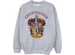 Harry Potter - Felpa Per Ragazzi BI796 (128) (Grigio)