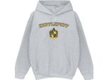 Harry Potter - Felpa Con Cappuccio "Hufflepuff"" Per Ragazzi BI7906 (116) (Grigio)"