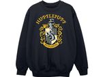 Harry Potter - Felpa Per Ragazzi BI1879 (128) (Nero)