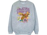 Scooby Doo - Felpa "The Amazing Scooby"" Per Ragazzi BI1989 (152-158) (Grau)"