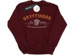 Harry Potter - Felpa "Gryffindor Quidditch"" Da Uomo BI28489 (L) (Rosso Borgogna)"