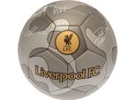 Liverpool Fc - Calcio Mimetico TA11229 (5) (Argento/Grigio)