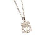 Liverpool Fc - Crest - Collana Con Ciondolo - Metallo TA11338 (Taglia Unica) (Argento)