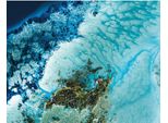 Petra Meikle De Vlas - Stampa Su Tela "Sandbank Haven"" PM7655 (40 Cm X 50 Cm) (Blu/Bianco/Verde)"
