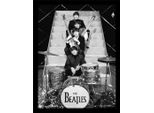 The Beatles - Poster Incorniciato "Photoshoot"" PM6933 (40 Cm X 30 Cm) (Nero/Grigio)"