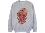 Harry Potter - Felpa "Grifondoro"" Da Ragazzo BI20489 (116) (Grigio)"