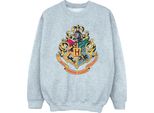 Harry Potter - Felpa "Hogwarts"" Per Ragazzi BI19907 (152-158) (Grau)"
