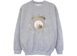 Harry Potter - Felpa "Hogwarts"" Per Ragazzi BI20419 (152-158) (Grau)"