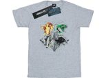 Harry Potter - Maglietta "Hogwarts"" Per Ragazzi BI20520 (152-158) (Grau)"