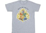 Harry Potter - Maglietta "Hogwarts"" Per Ragazzi BI21321 (116) (Grigio)"