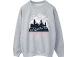 Harry Potter - Felpa "Hogwarts"" Da Donna BI21450 (Xxl) (Grigio)"