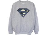 Dc Comics - Felpa Per Ragazzi BI33026 (152-158) (Grigio)