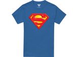 Superman - Maglietta Logo Da Uomo TV2636 (S) (Blu Royal)