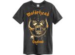 Amplified - Maglietta "Bronze England"" Per Uomo/Donna Unisex GD1552 (3XL) (Charcoal)"