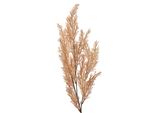 Fiore Artificiale Clayre & Eef 75 Cm Plastica Beige