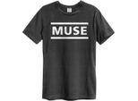 Amplified - Maglietta Logo Per Uomo/Donna Unisex GD1458 (Xxl) (Charcoal)